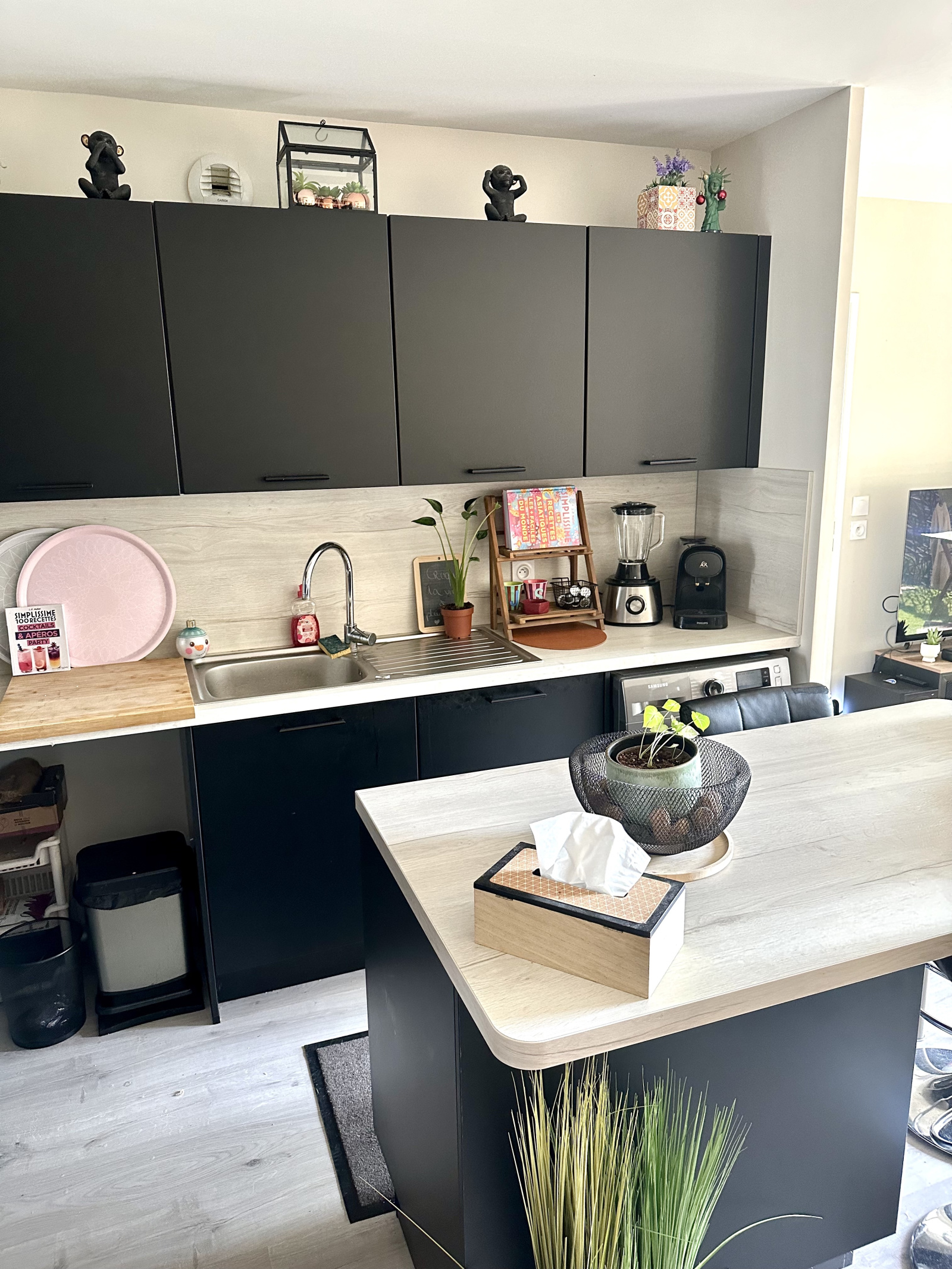 Image_3, Appartement, Marquette-lez-Lille, ref :VAP60000147