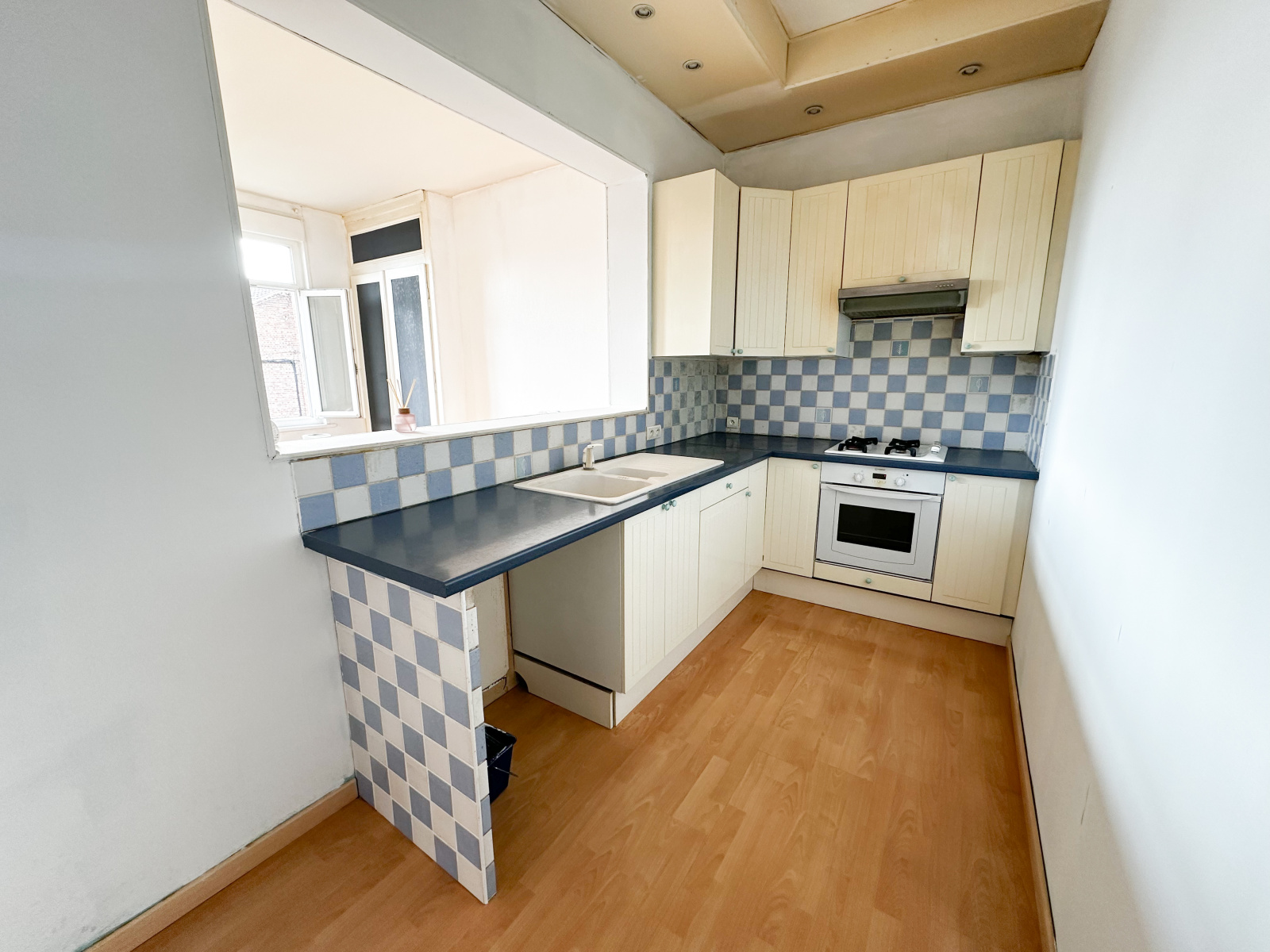 Image_4, Appartement, Saint-André-lez-Lille, ref :VAP60000182