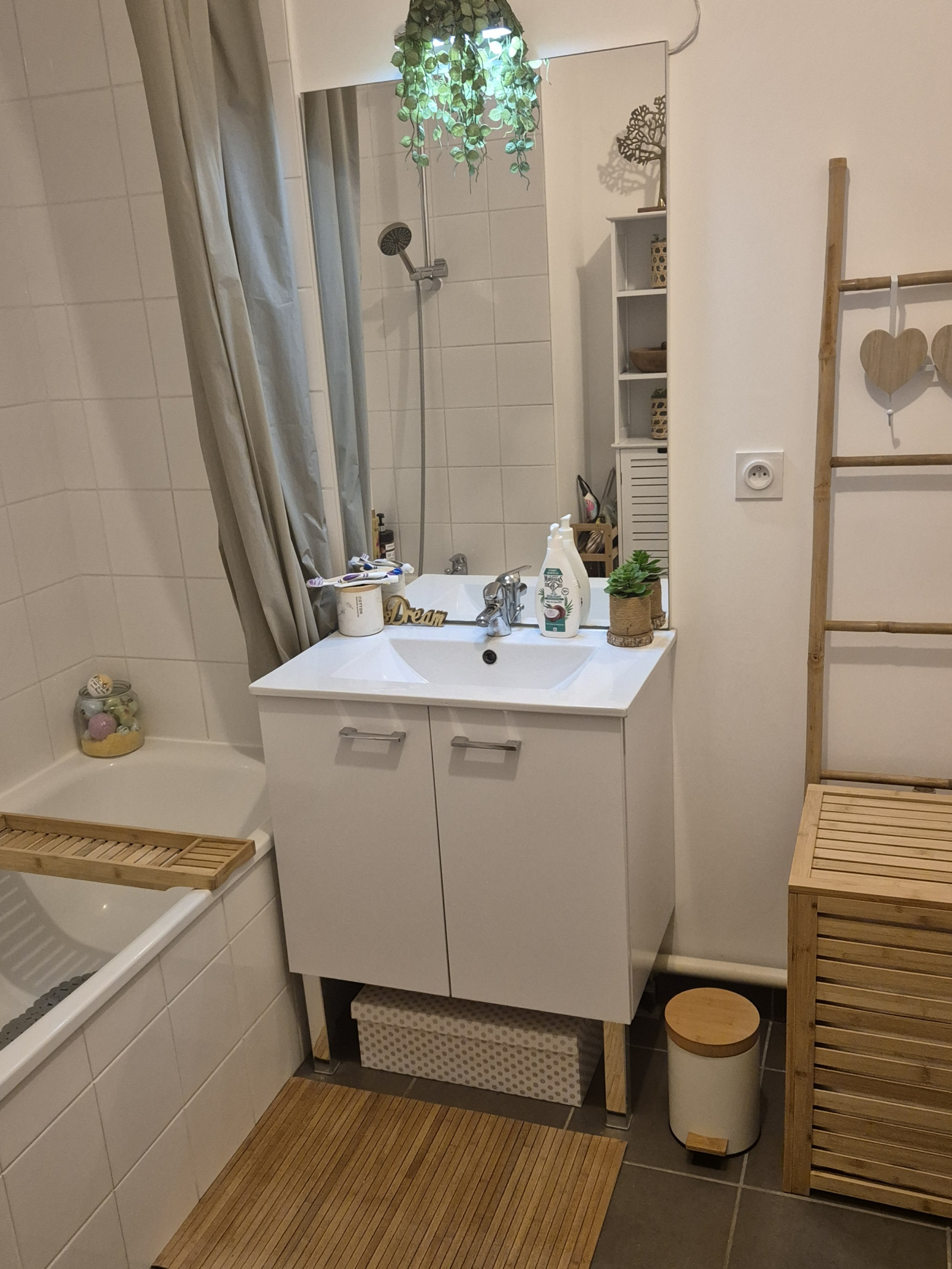 Image_5, Appartement, Tourcoing, ref :LAP60000102