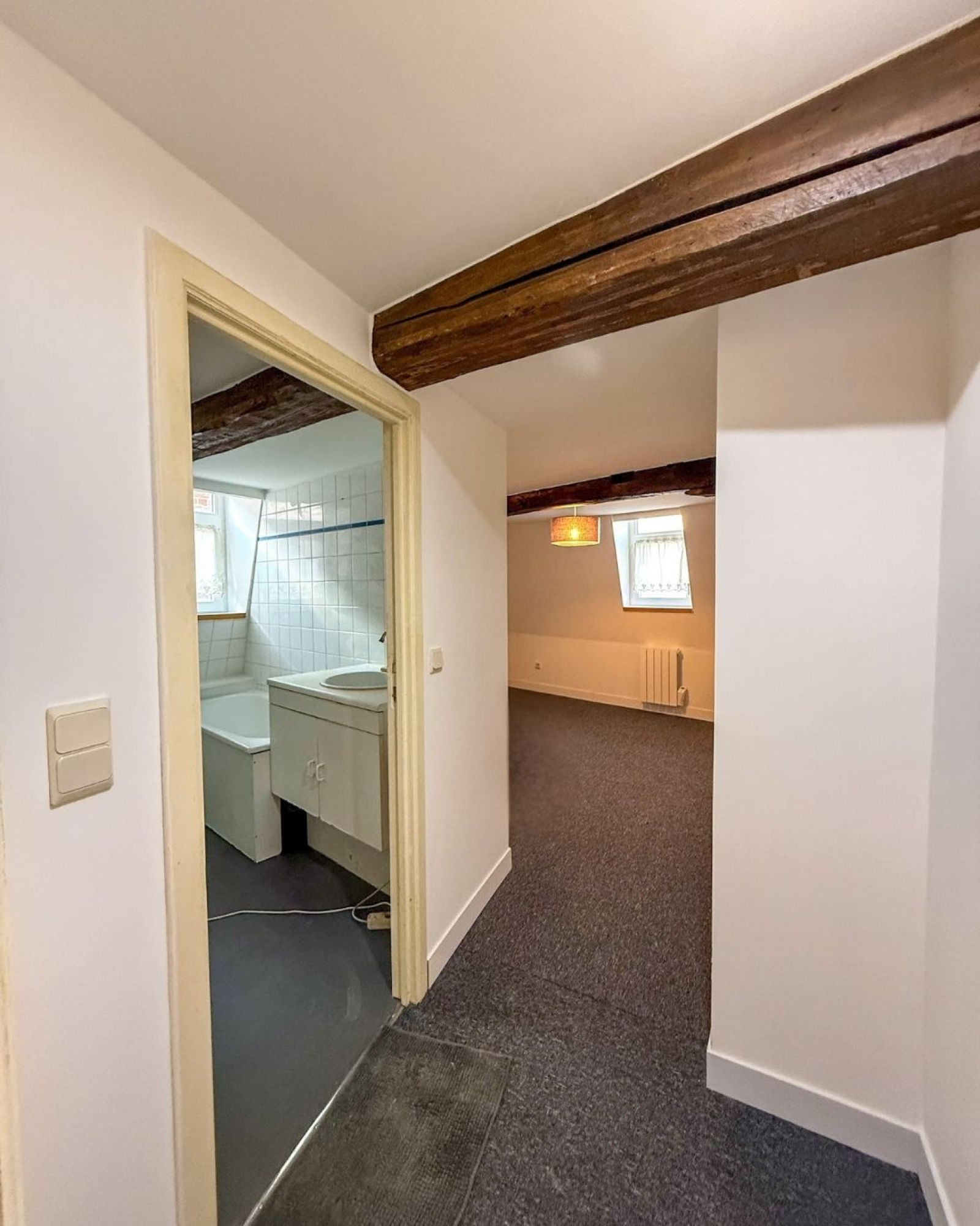 Image_8, Appartement, Lille, ref :VMA10000319