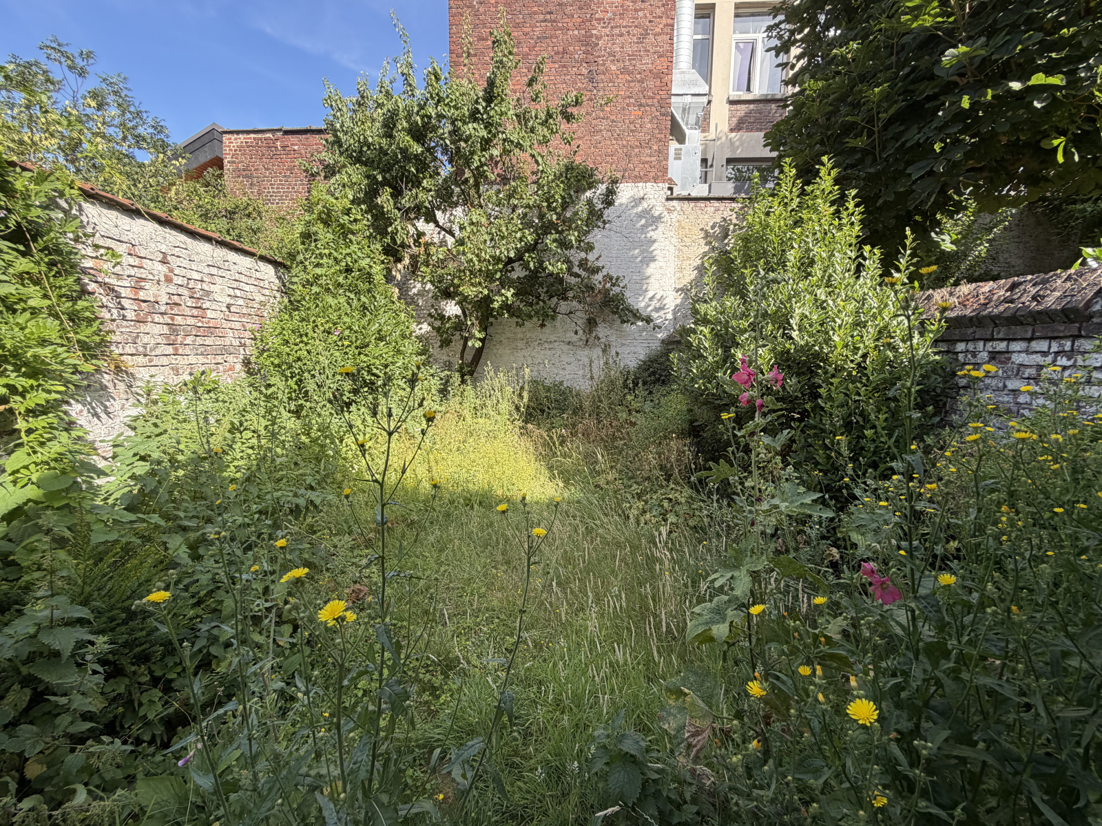 Image_8, Maison, Lambersart, ref :VAP120000392