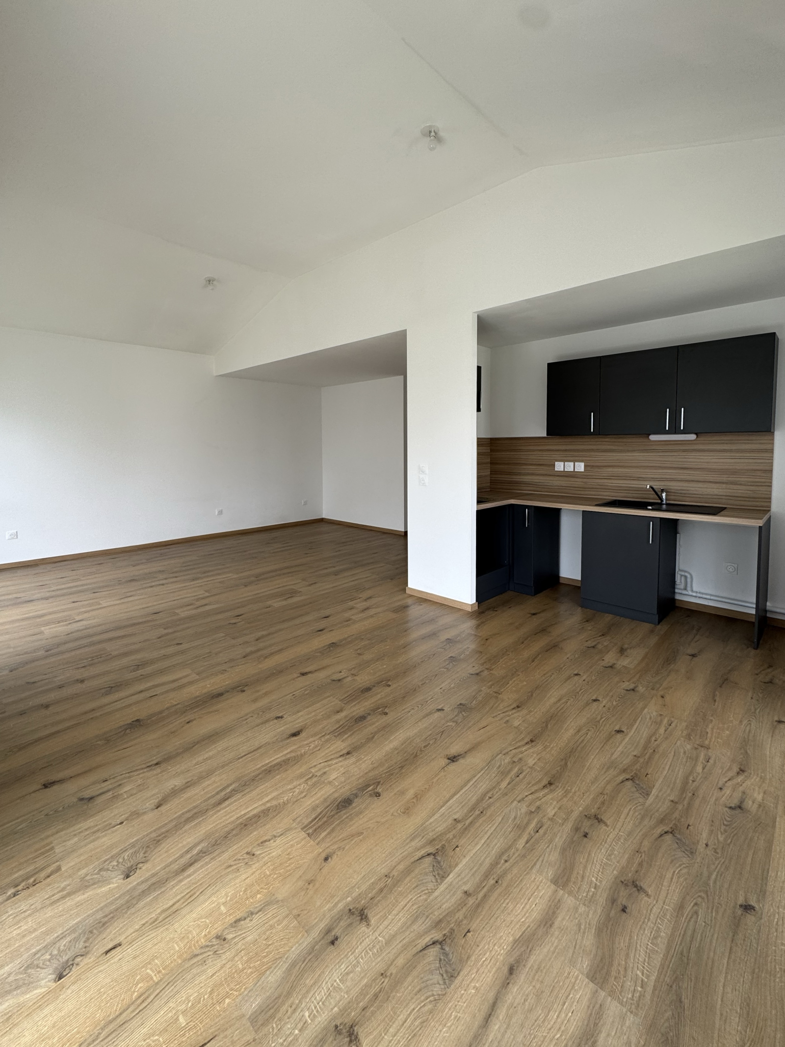 Image_2, Appartement, Saint-André-lez-Lille, ref :VAP10000375