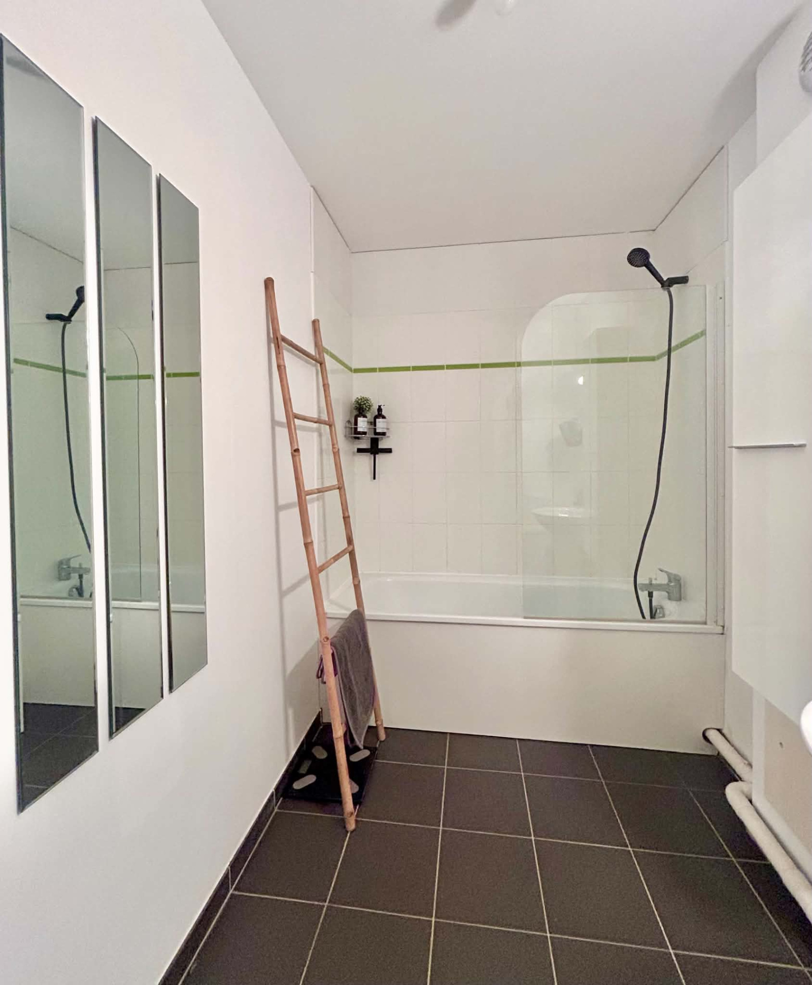 Image_5, Appartement, Lille, ref :VAP120000394