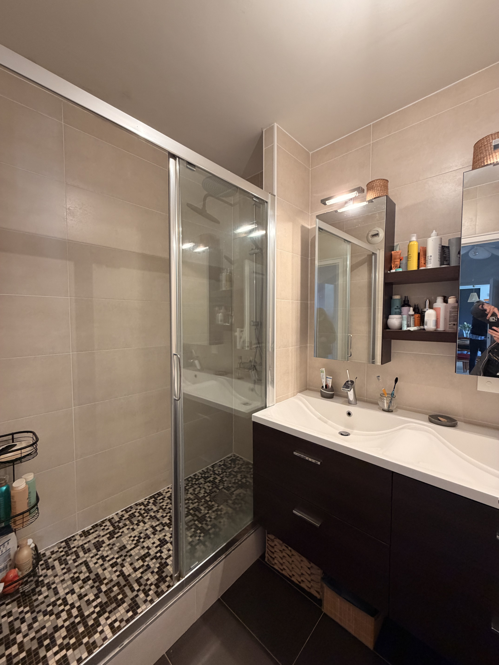 Image_5, Appartement, Saint-André-lez-Lille, ref :LAP110000333